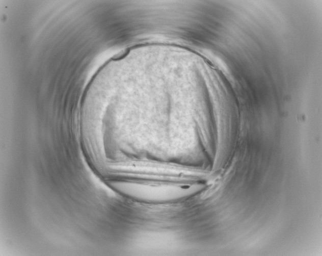 X0000088611247200706221423