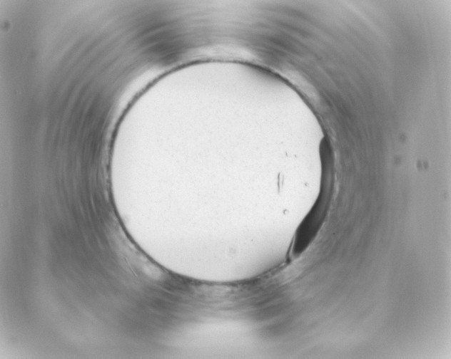 X0000088611248200706221423