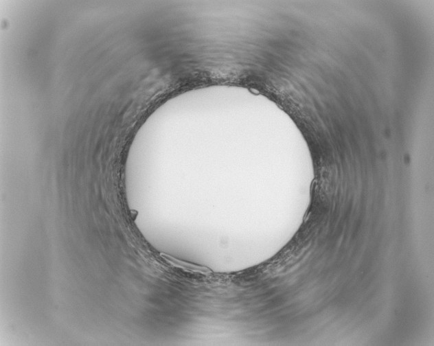 X0000088611249200706221422