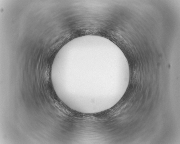 X0000088611250200706221422