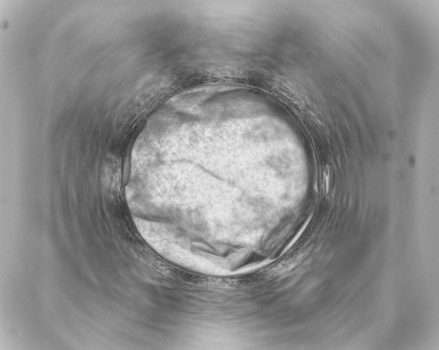 X0000088611251200706221422