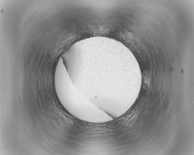 X0000088611252200706221422