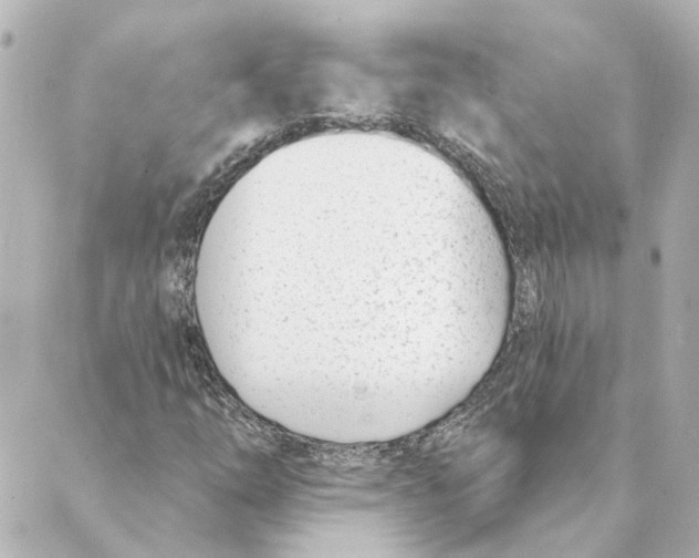 X0000088611254200706221422