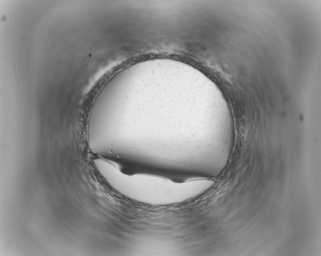 X0000088611256200706221422