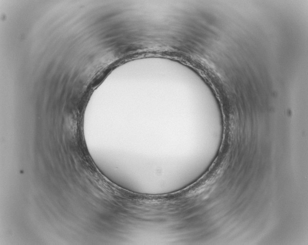 X0000088611257200706221422