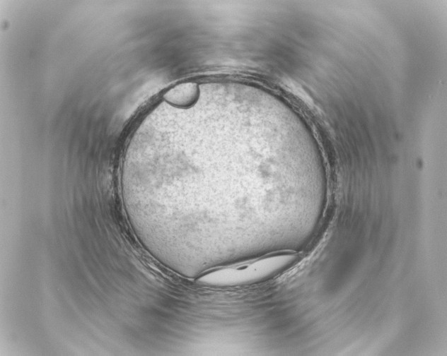 X0000088611259200706221422