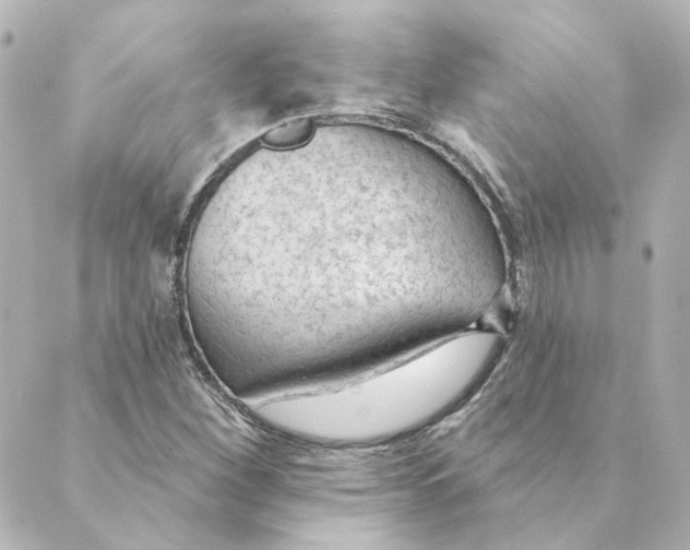 X0000088611260200706221422