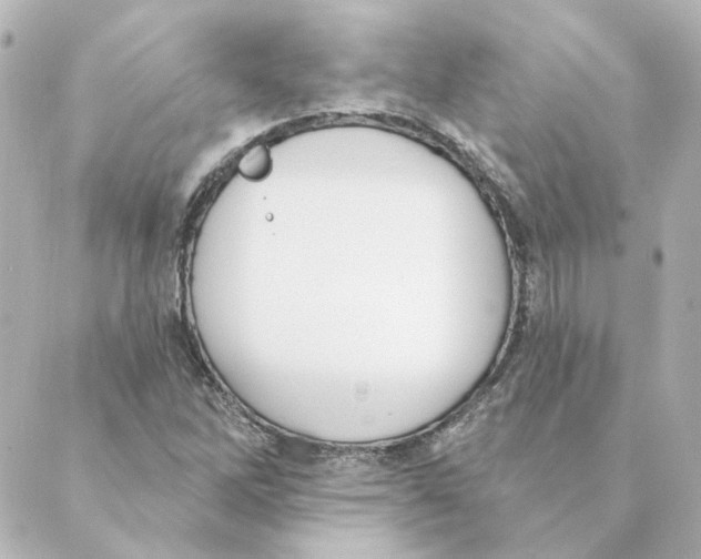 X0000088611262200706221422