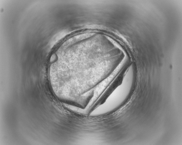 X0000088611263200706221422