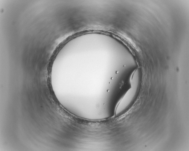 X0000088611264200706221422