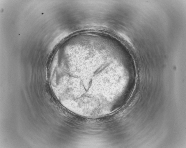 X0000088611267200706221422