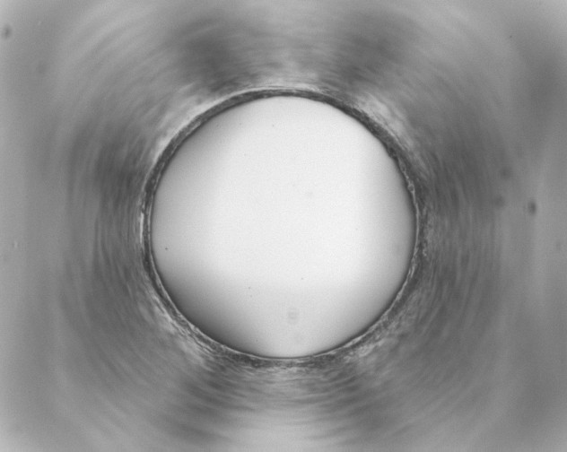 X0000088611268200706221422