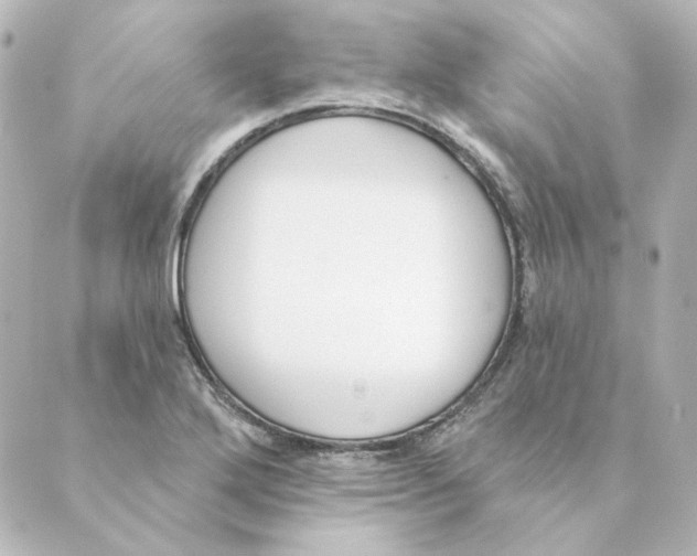 X0000088611272200706221422