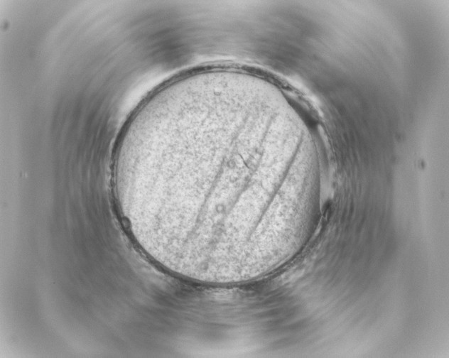 X0000088611279200706221421