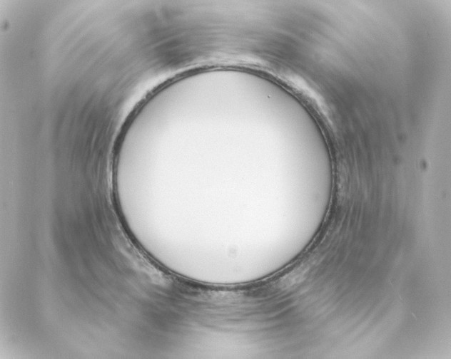 X0000088611280200706221421