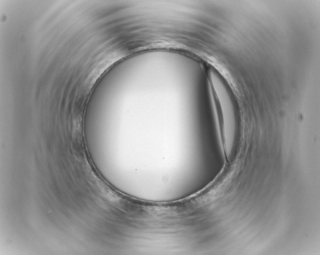 X0000088611281200706221421