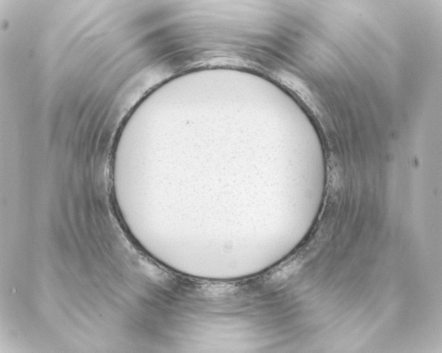 X0000088611282200706221421