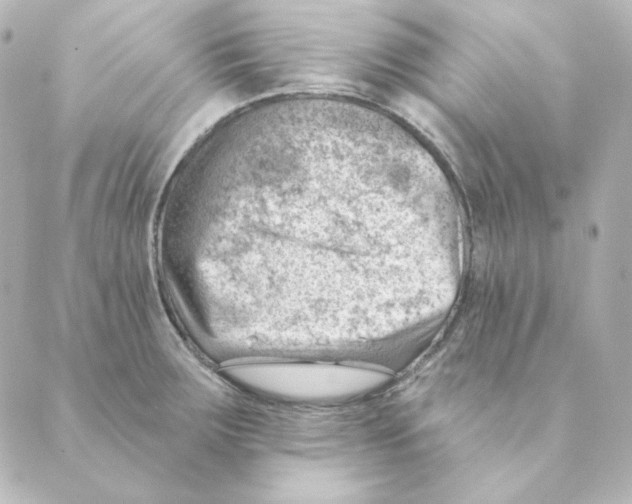 X0000088611283200706221421