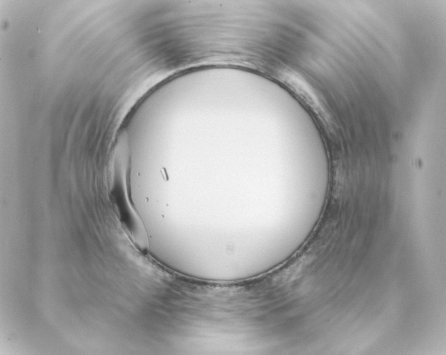 X0000088611284200706221421