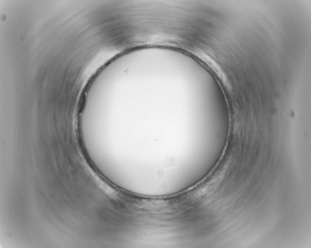 X0000088611285200706221421