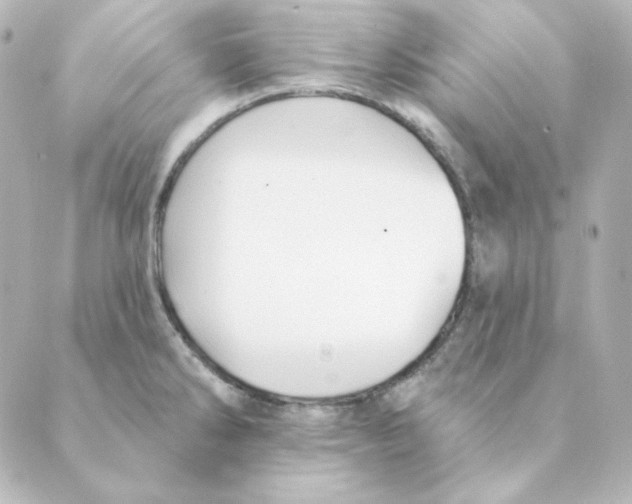 X0000088611286200706221421