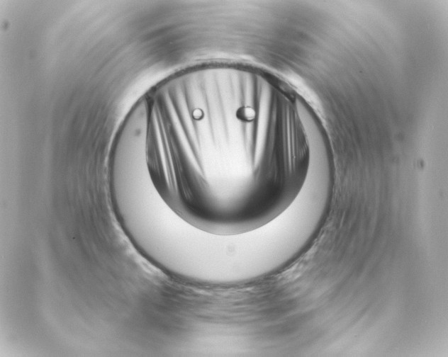 X0000088611287200706221421