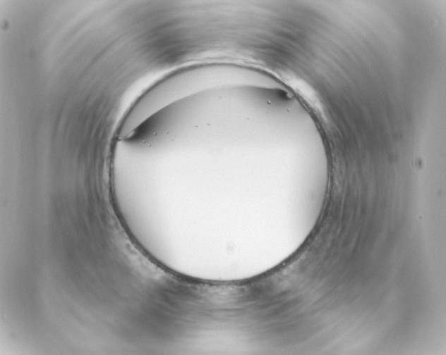 X0000088611288200706221421