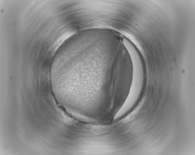 X0000088611289200706221421