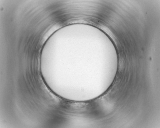 X0000088611290200706221421