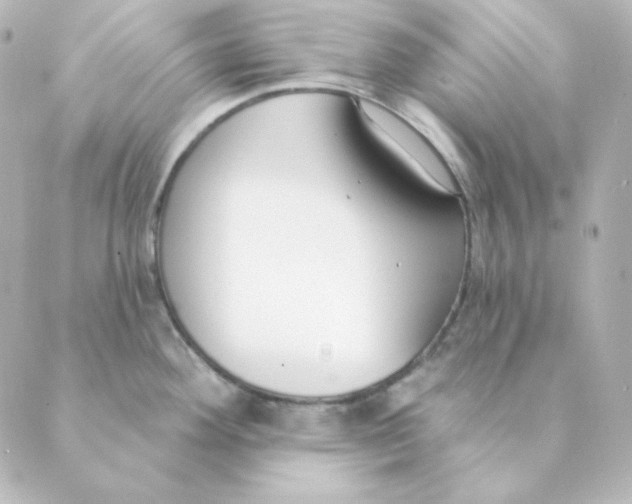 X0000088611292200706221421