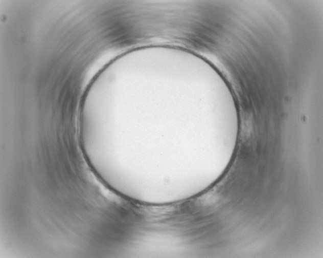 X0000088611294200706221421