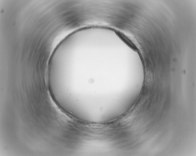 X0000088611295200706221421