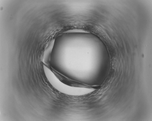 X0000088611298200706221420