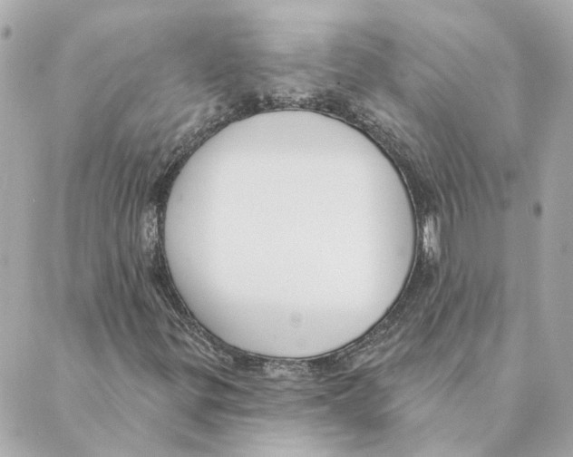 X0000088611299200706221420