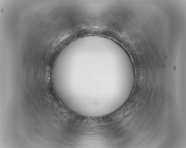 X0000088611301200706221420