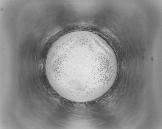 X0000088611302200706221420