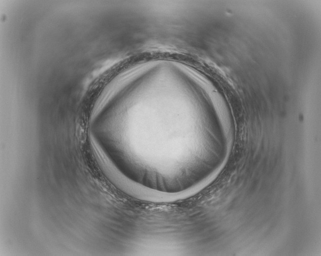 X0000088611303200706221420