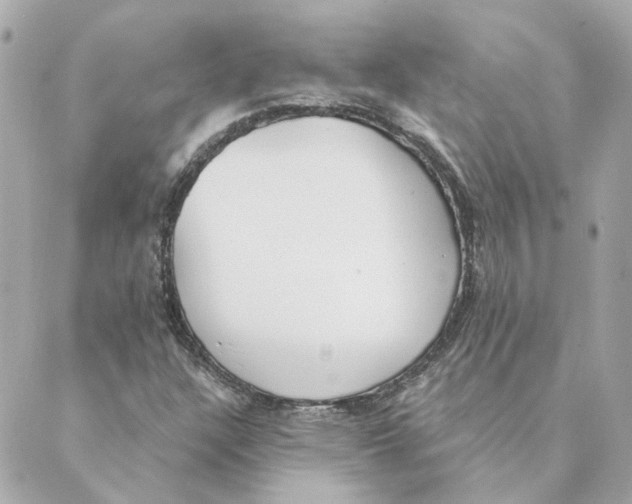 X0000088611304200706221420