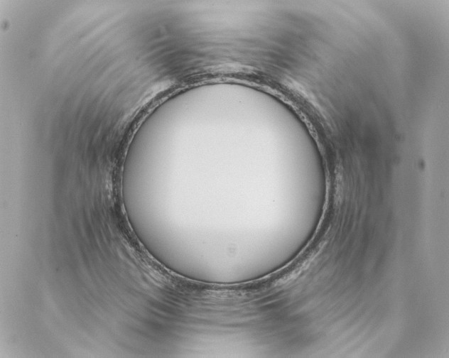 X0000088611305200706221420