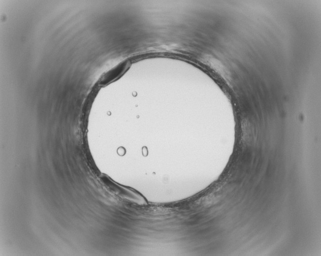 X0000088611308200706221421