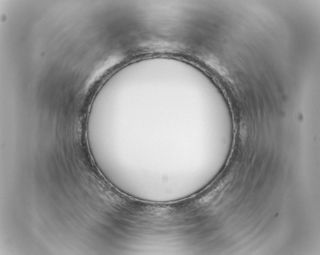 X0000088611309200706221421