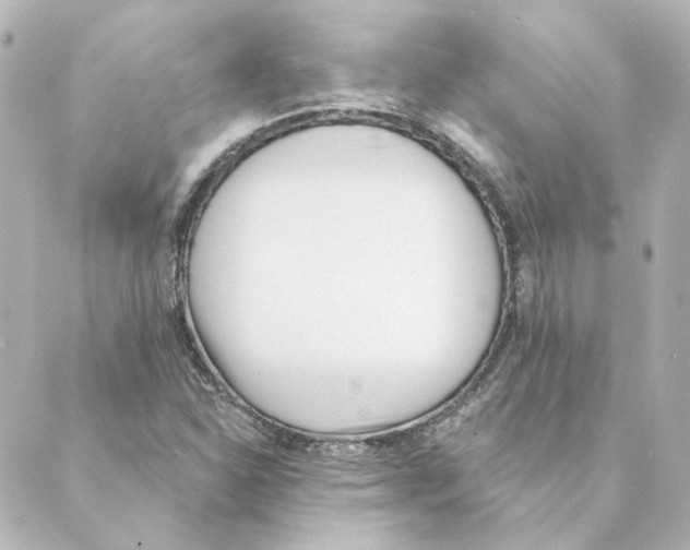 X0000088611310200706221421