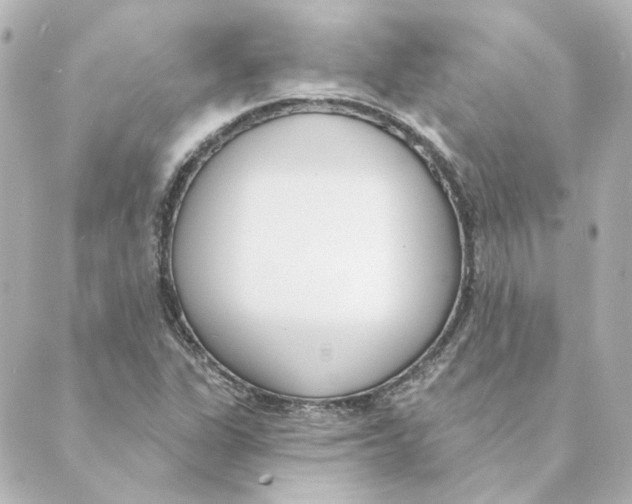 X0000088611311200706221421