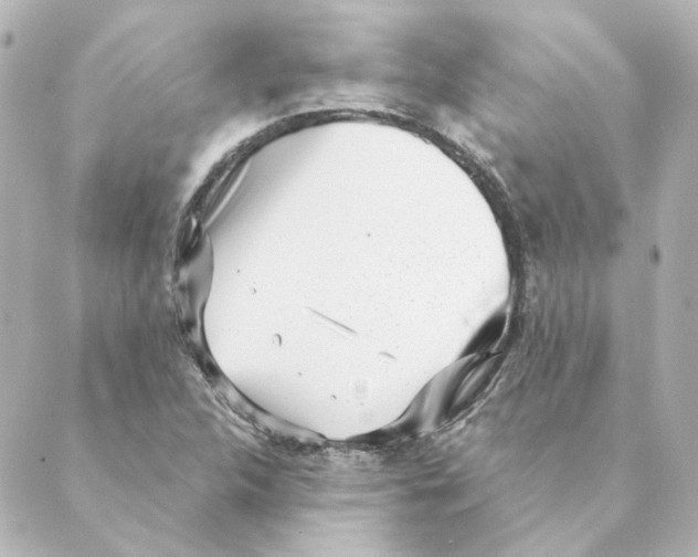 X0000088611312200706221421