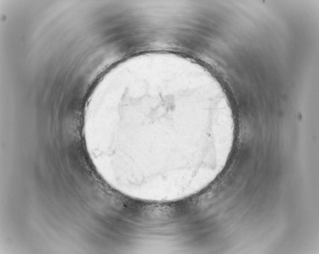 X0000088611314200706221421