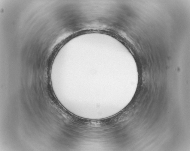 X0000088611315200706221421