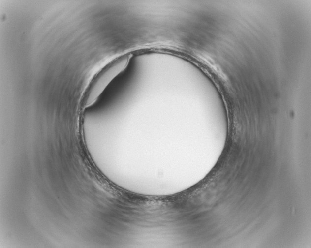 X0000088611316200706221421