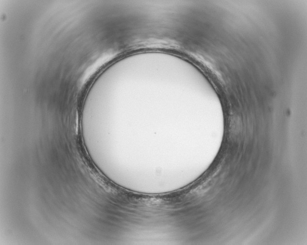 X0000088611317200706221421