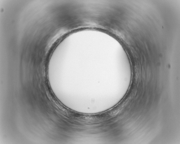 X0000088611318200706221421