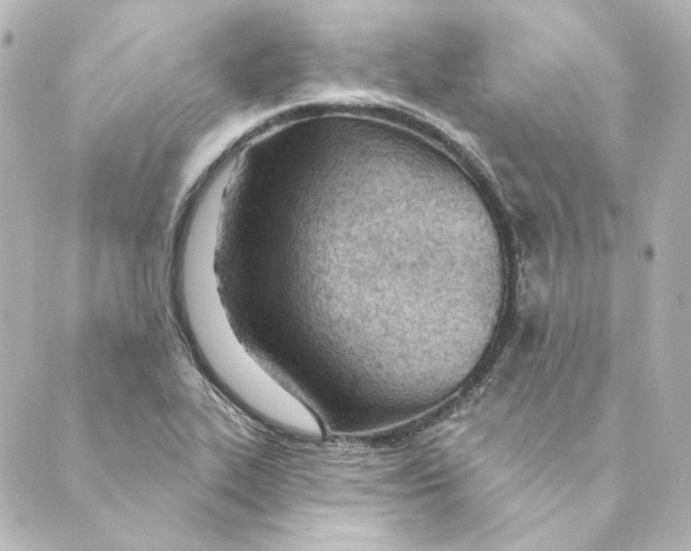 X0000088611319200706221421